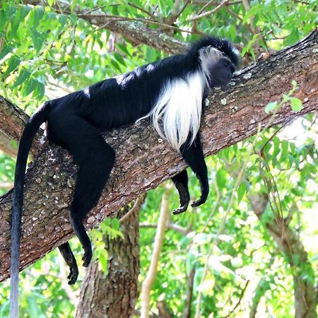 Diani Beachalets Екстериор снимка